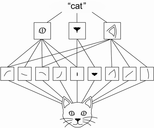 conv_cat